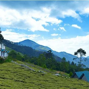 https://green-jungle-holiday-resort.kerala-hotels.net